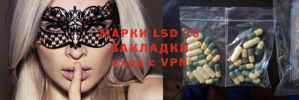 гашик Карталы