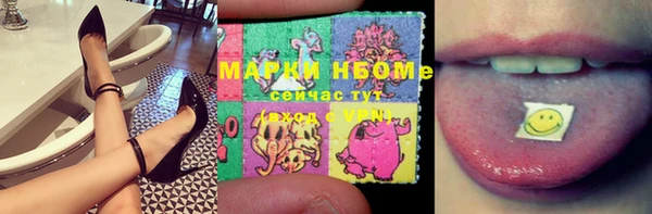 молекула духа Карпинск