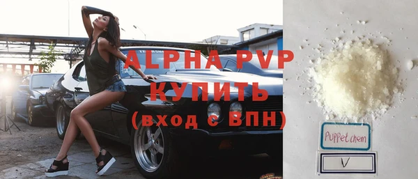 молекула духа Карпинск