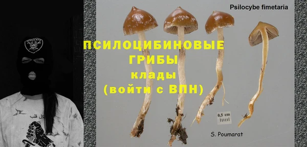 гашик Карталы