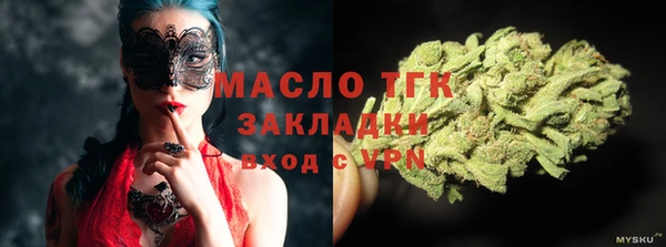 молекула духа Карпинск