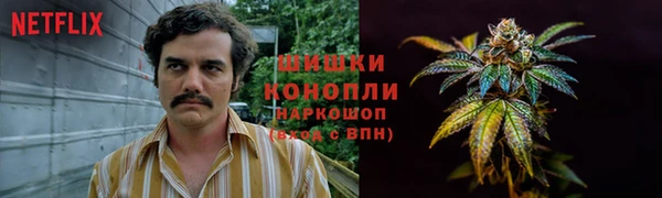 гашик Карталы