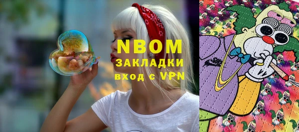 молекула духа Карпинск