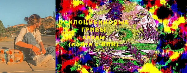 молекула духа Карпинск